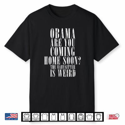 The Babysitter Is Weird Humor Tees Vintage Shirt